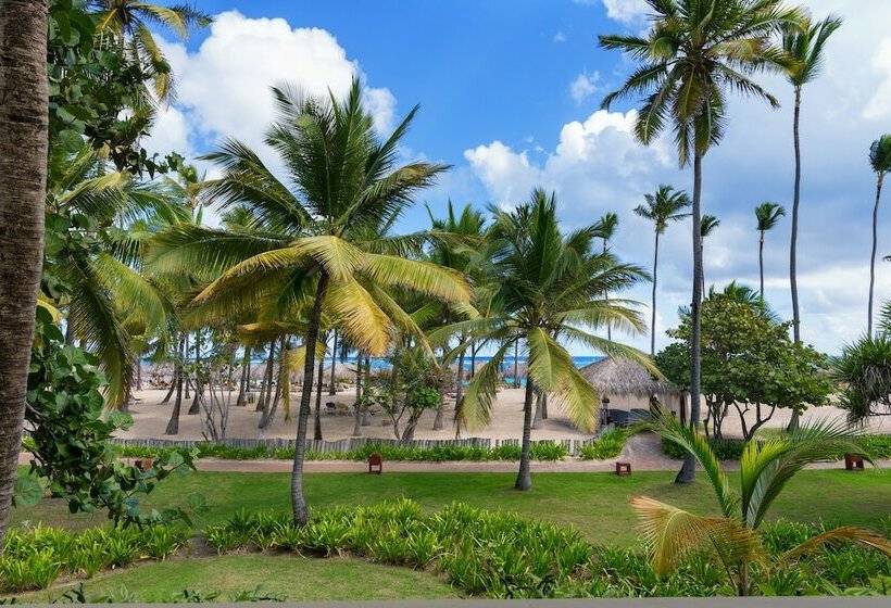 سوییت جونیور با چشم‌انداز دریا, Iberostar Selection Coral Bávaro