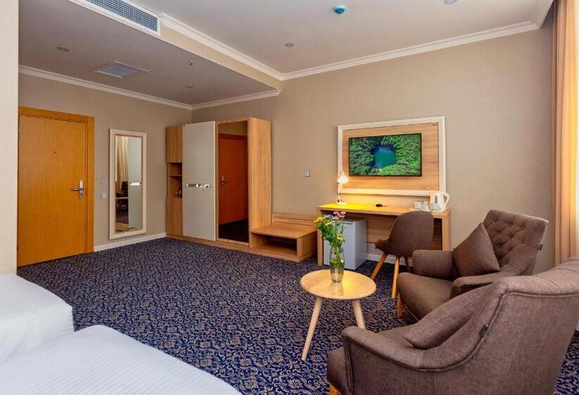 اتاق سوپریور با چشم‌انداز شهر, Golden City Hotel Baku