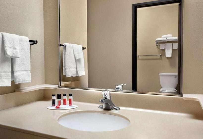 اتاق استاندارد با تخت بزرگ, Baymont By Wyndham Sioux Falls North,i 29,russell St, Airport