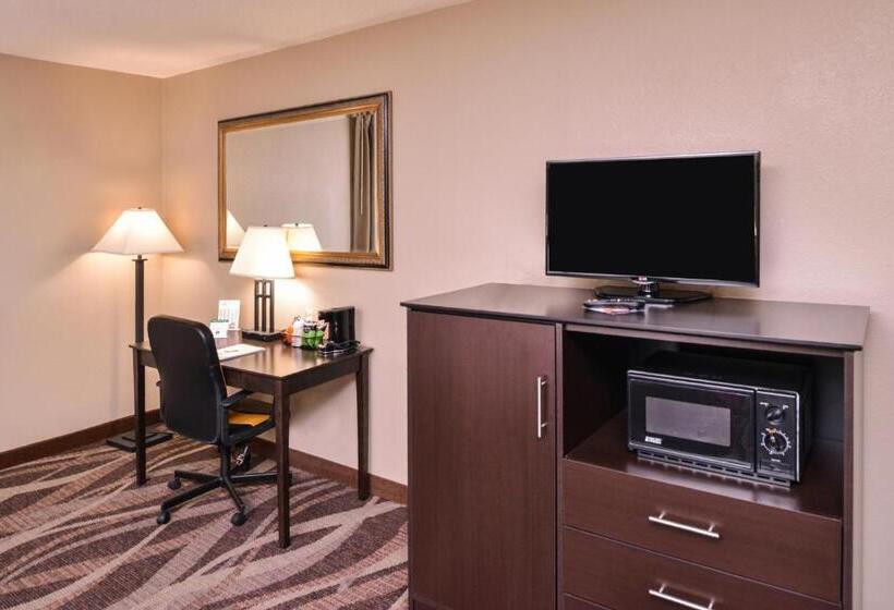 اتاق استاندارد با تخت بزرگ, Baymont By Wyndham Sioux Falls North,i 29,russell St, Airport