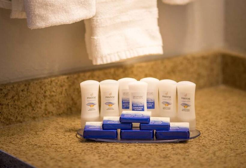 سوییت جونیور, Best Western Black Hills Lodge