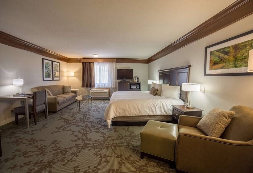 سوییت جونیور, Best Western Black Hills Lodge