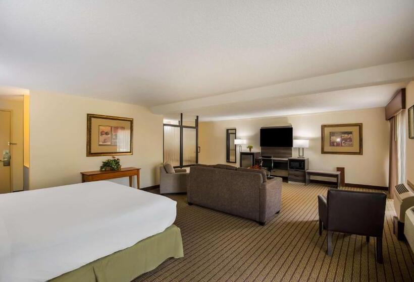 سوئیت با تخت بزرگ, Best Western Prairie Inn & Conference Center