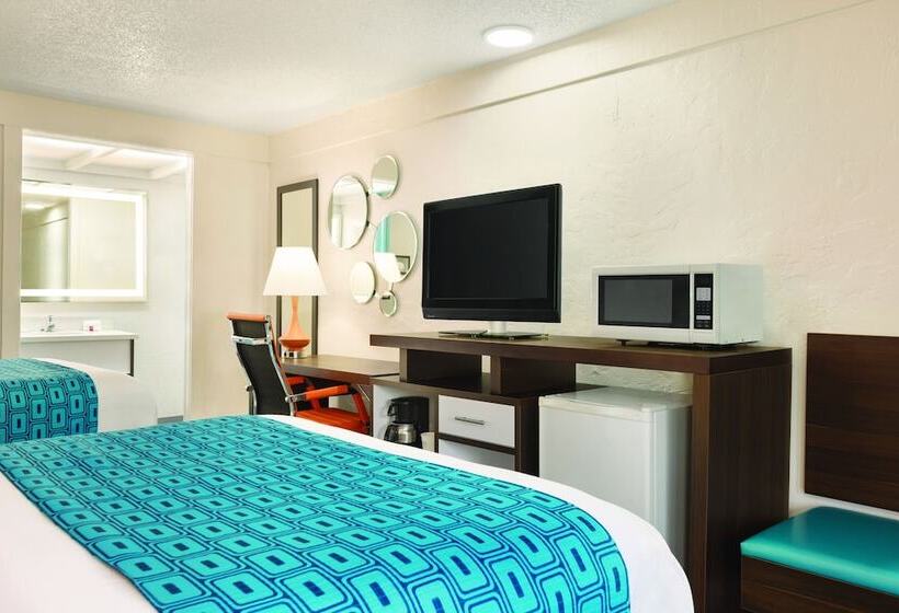 豪华房间, Dover Inn And Suites