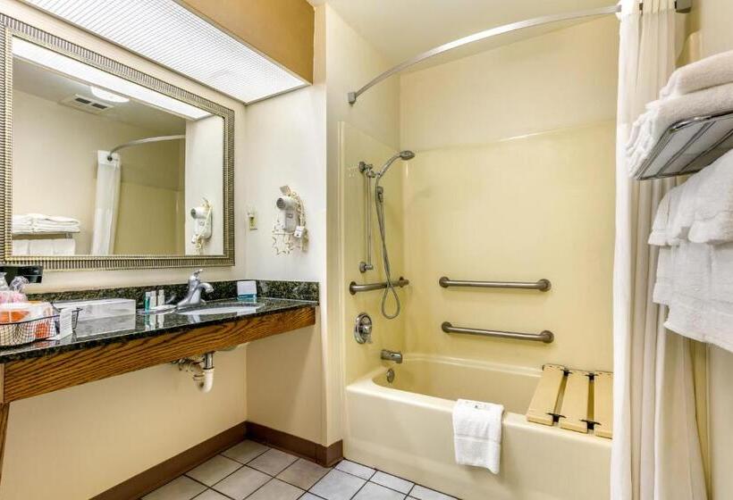 اتاق استاندارد با 2 تخت دوبل, Quality Inn Johnson City I 26 Exit 17