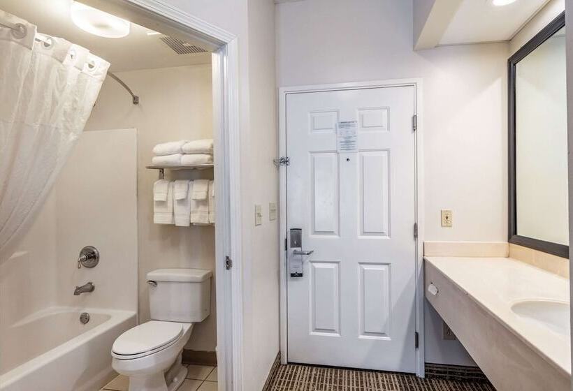 اتاق استاندارد با 2 تخت دوبل, Quality Inn Rome South