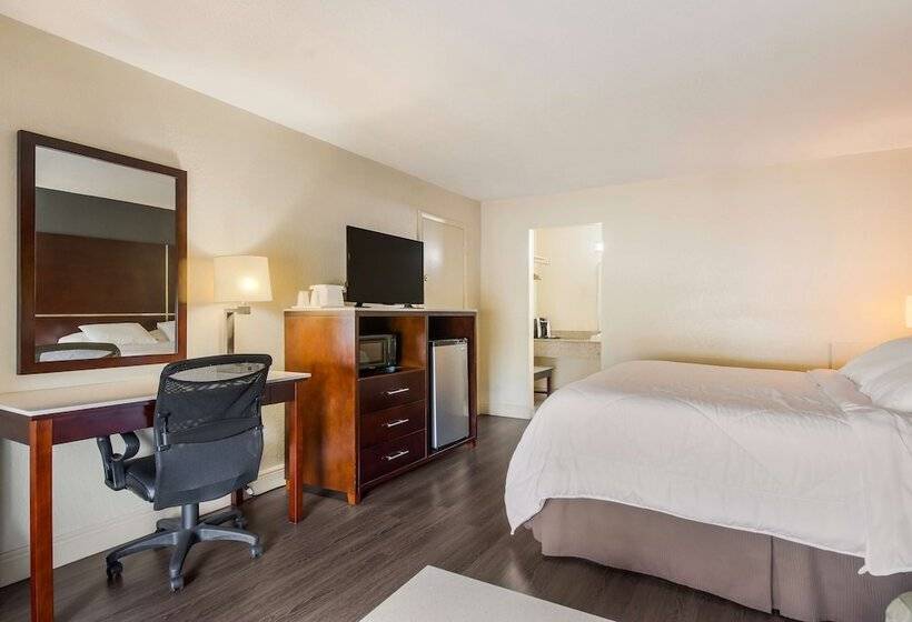 Standard Room Double Bed, Surestay  By Best Western Sarasota Lido Beach