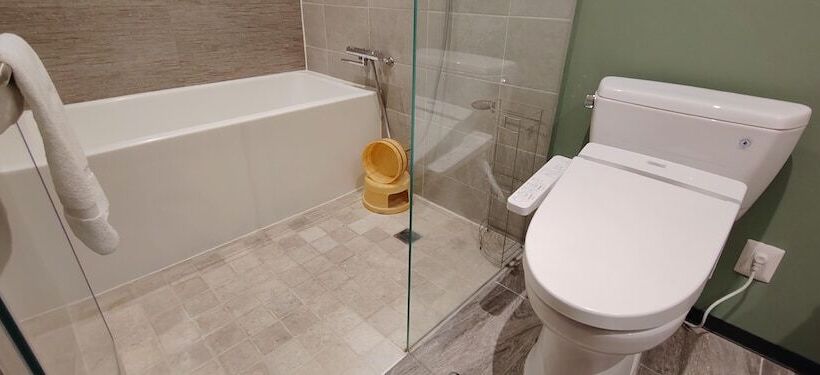 سوییت جونیور, Fujitaya Querétaro