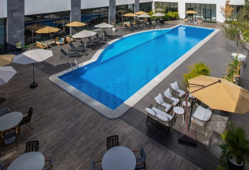 سوئیت پرزیدنت, Fujitaya Querétaro