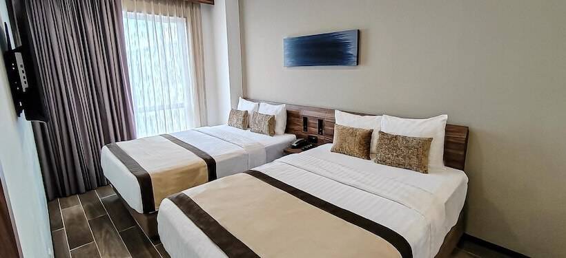 سوییت, Fujitaya Querétaro