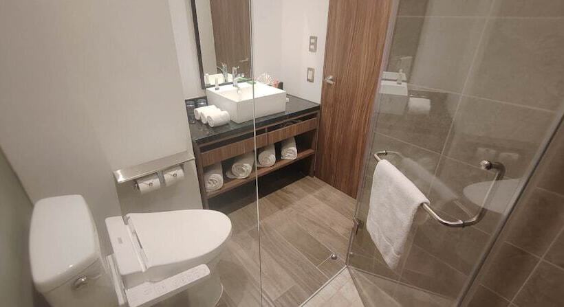 اتاق سوپریور, Fujitaya Querétaro