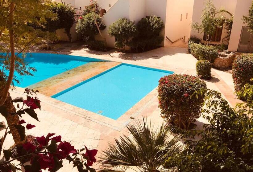 3 Bedroom Premium Apartment, Tala Bay Residence   Families Only