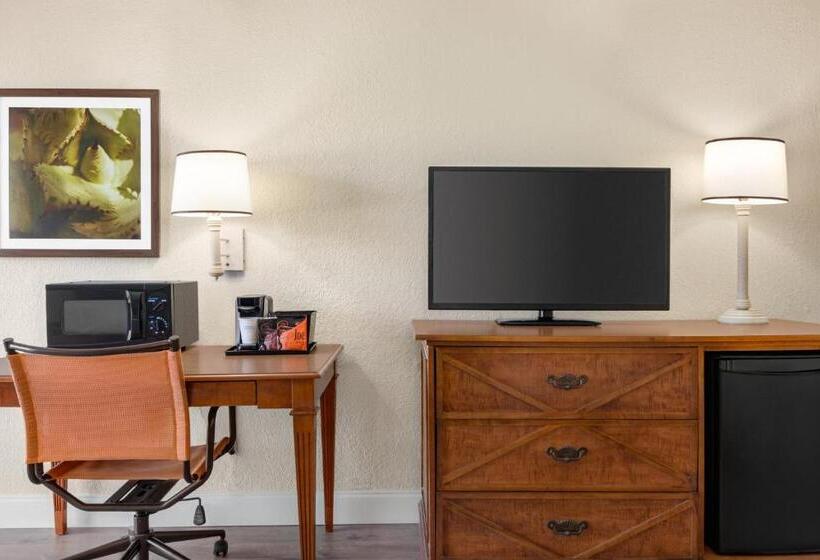 استودیو استاندارد با تخت کینگ, Baymont By Wyndham Daytona Beach   Intl Speedway