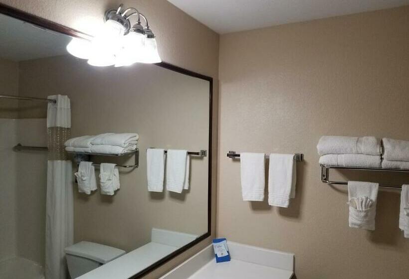 اتاق استاندارد با 2 تخت دوبل, Baymont By Wyndham Plainfield/ Indianapolis Arpt Area