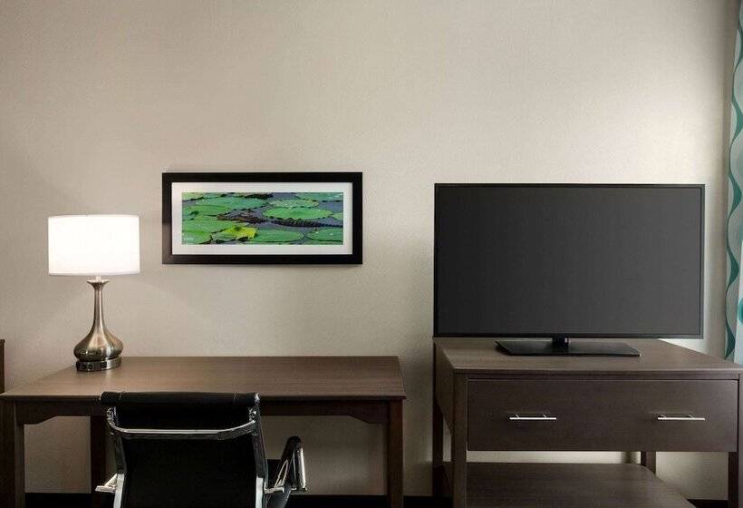 اتاق استاندارد با 2 تخت دوبل, Days Inn By Wyndham Gainesville Florida