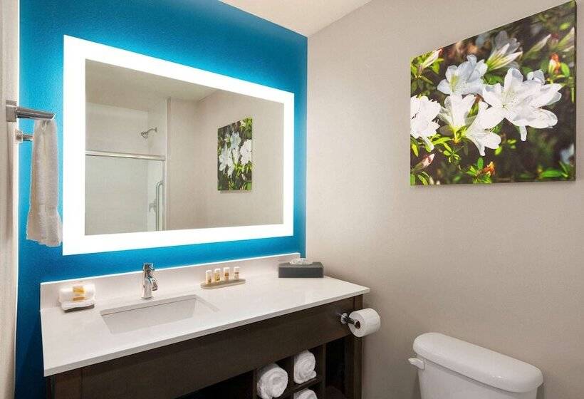 اتاق استاندارد با 2 تخت دوبل, Days Inn By Wyndham Gainesville Florida