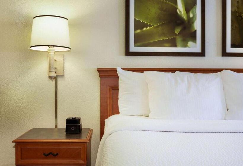 Standaardkamer met Kingsize Bed, La Quinta Inn By Wyndham Austin Capitol / Downtown