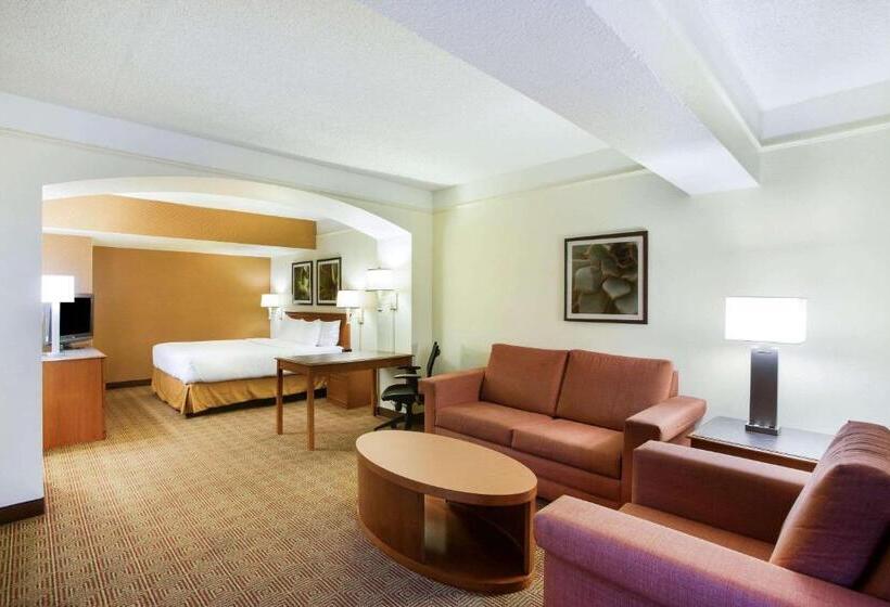 キングサイズベッドのスイートルーム, La Quinta Inn By Wyndham Austin Capitol / Downtown