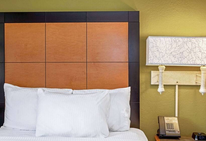 اتاق استاندارد با تخت دوبل برای معلولان, La Quinta Inn By Wyndham Orlando Airport West