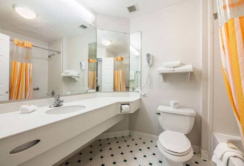 سوئیت با تخت بزرگ, La Quinta Inn & Suites By Wyndham Houston Bush Iah South