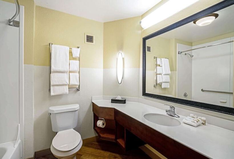 Chambre Standard Lit Double Adaptée aux Personnes à Mobilité Réduite, La Quinta Inn & Suites By Wyndham Memphis Primacy Parkway