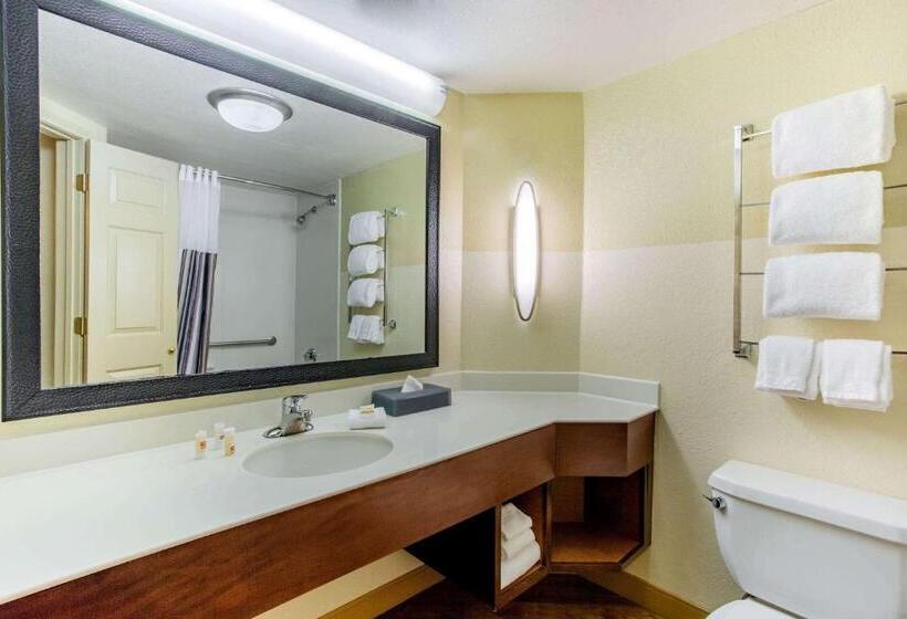 اتاق لوکس با تخت بزرگ, La Quinta By Wyndham Raleigh Crabtree