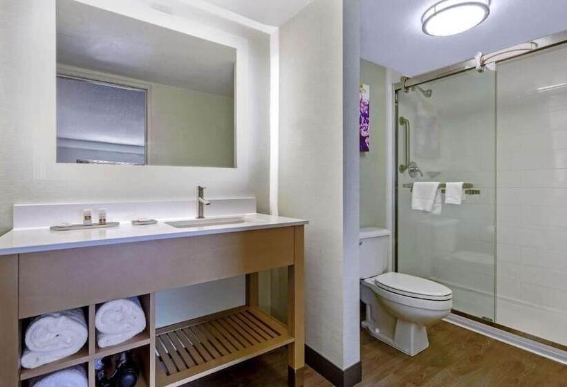 اتاق استاندارد با تخت دوبل, La Quinta Inn & Suites By Wyndham San Francisco Airport N