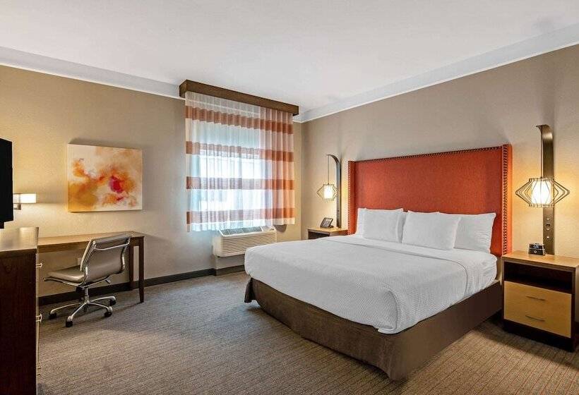 اتاق استاندارد با تخت دوبل, La Quinta Inn & Suites By Wyndham San Francisco Airport N