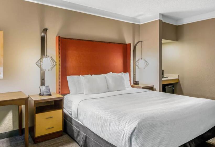 اتاق استاندارد با تخت دوبل برای معلولان, La Quinta Inn & Suites By Wyndham San Francisco Airport N