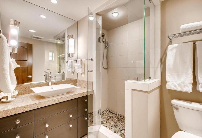 اتاق استاندارد با تخت بزرگ, Lodge Tower