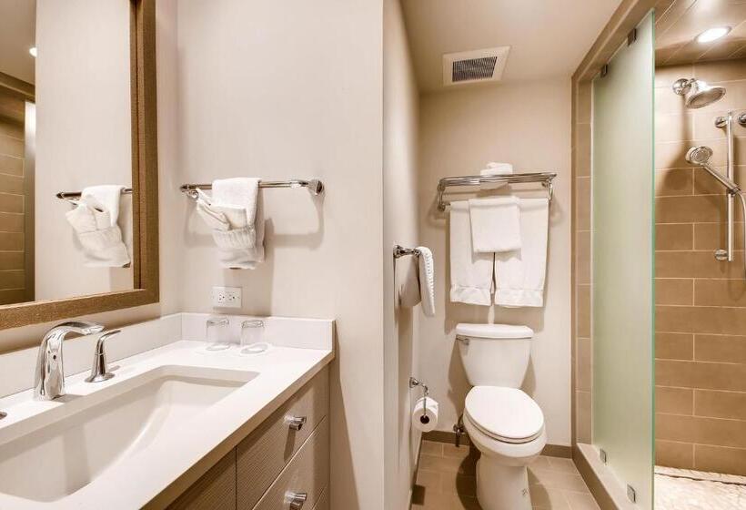 اتاق استاندارد با تخت بزرگ, Lodge Tower