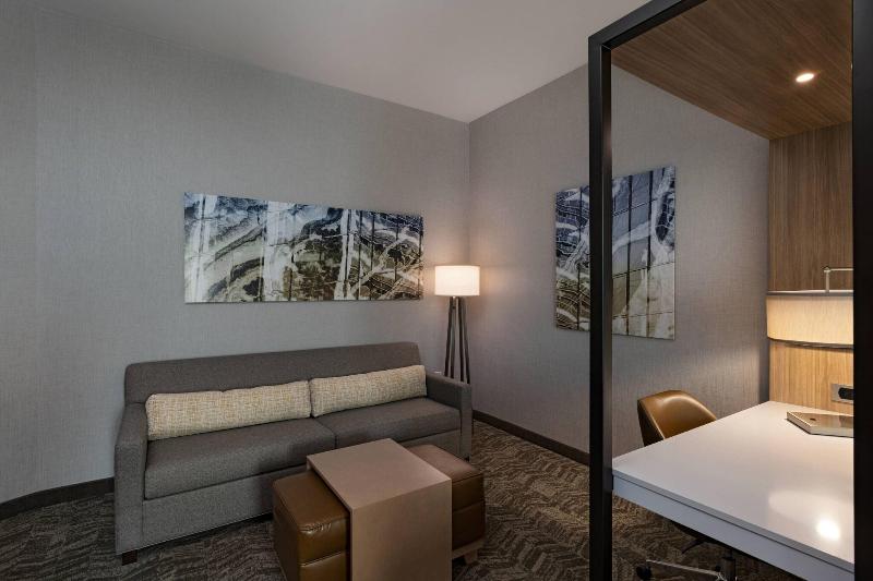 سوئیت با تخت بزرگ, Springhill Suites Waco