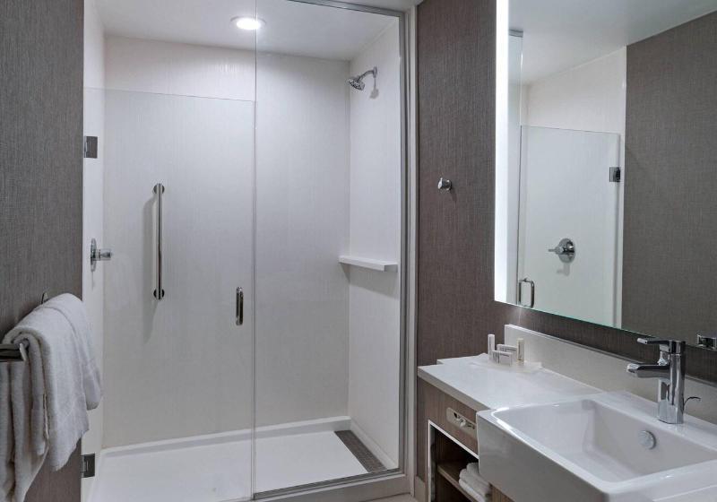 سوئیت با تخت بزرگ, Springhill Suites Waco