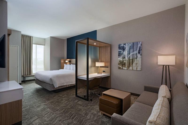 سوئیت با تخت بزرگ, Springhill Suites Waco