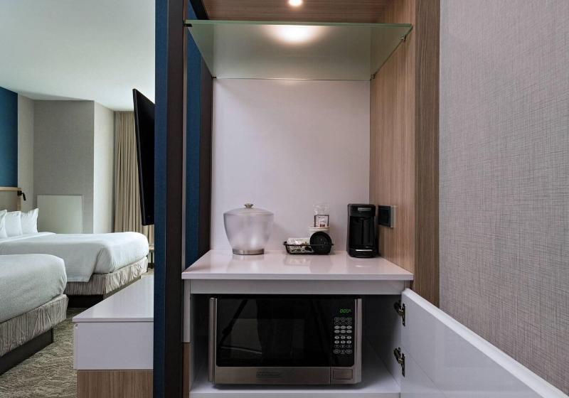 سوئیت با تخت بزرگ, Springhill Suites Waco