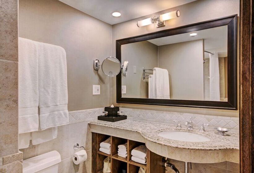 اتاق لوکس, Lodge At Vail, A Rockresort