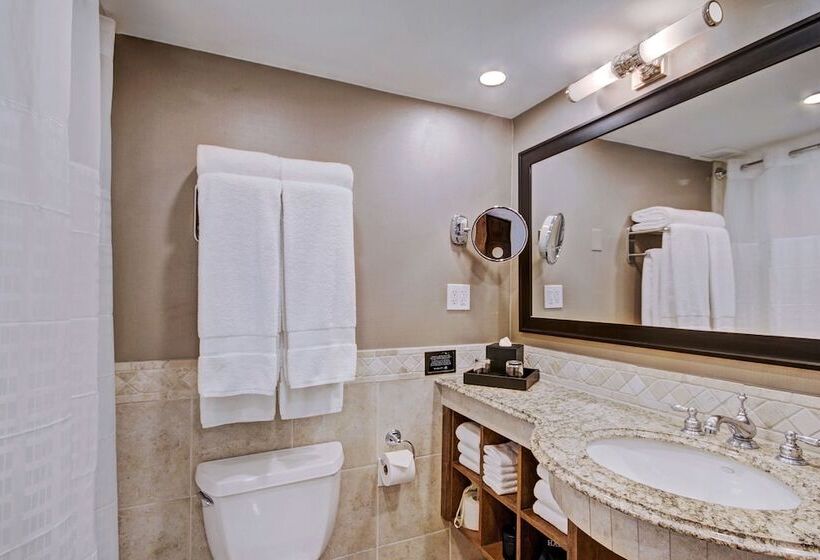 اتاق لوکس, Lodge At Vail, A Rockresort