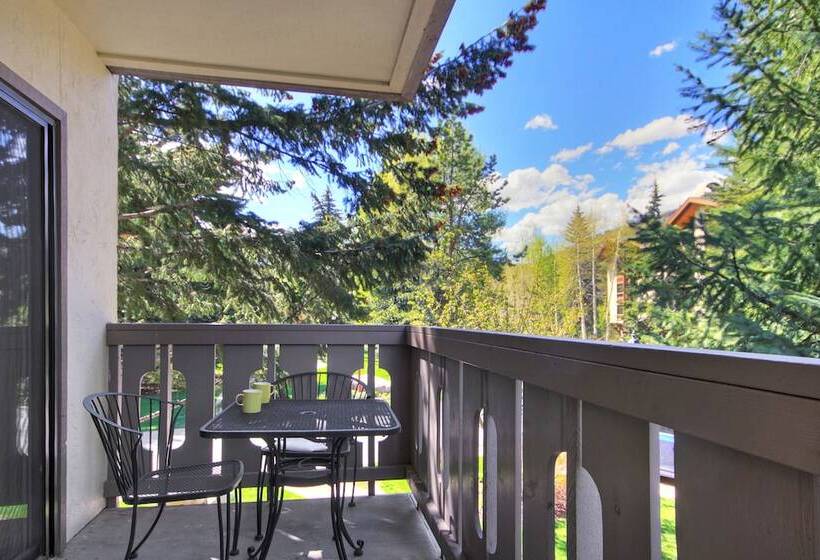 آپارتمان 3 خوابه, Lodge At Vail, A Rockresort