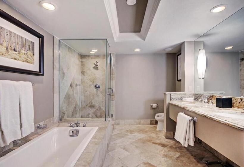 اتاق لوکس با تخت بزرگ, Lodge At Vail, A Rockresort