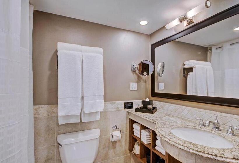 اتاق لوکس, Lodge At Vail, A Rockresort