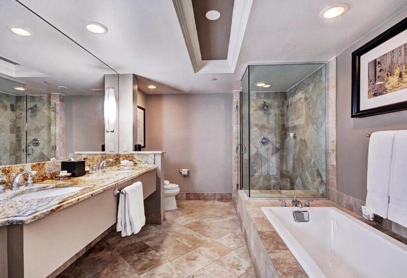 سوییت با چشم‌انداز کوه, Lodge At Vail, A Rockresort