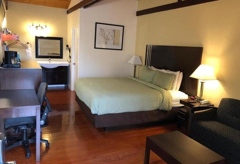 اتاق استاندارد با تخت بزرگ, Lombard Plaza Motel