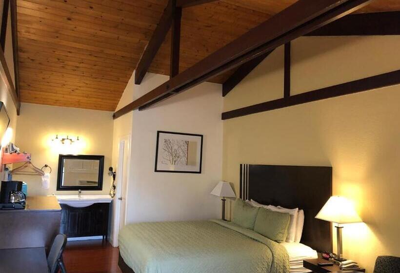 اتاق استاندارد با تخت بزرگ, Lombard Plaza Motel
