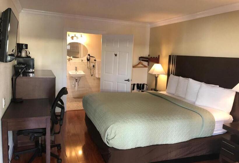 اتاق استاندارد با تخت بزرگ برای معلولان, Lombard Plaza Motel