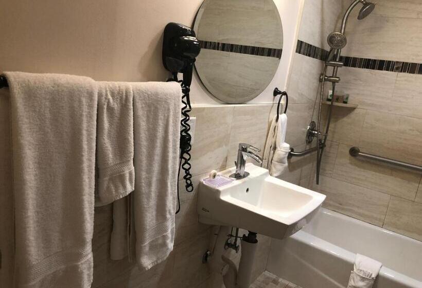 اتاق استاندارد با تخت بزرگ برای معلولان, Lombard Plaza Motel