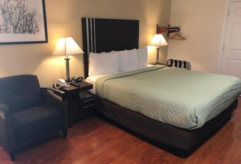 اتاق استاندارد با تخت بزرگ برای معلولان, Lombard Plaza Motel