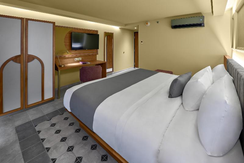 اتاق استاندارد, City Centro By Marriott San Luis Potosi