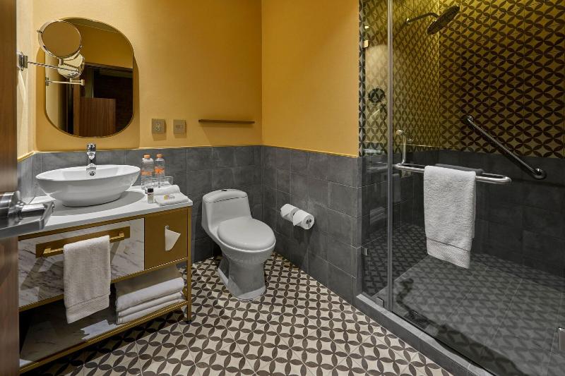 اتاق استاندارد با تخت بزرگ, City Centro By Marriott San Luis Potosi
