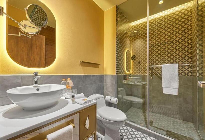 اتاق استاندارد با 2 تخت دوبل, City Centro By Marriott San Luis Potosi