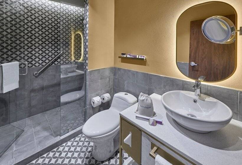 اتاق سوپریور, City Centro By Marriott San Luis Potosi